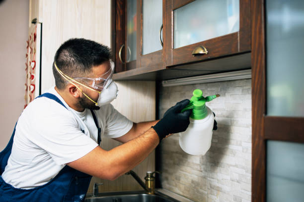 Best Emergency Pest Control  in Lincroft, NJ