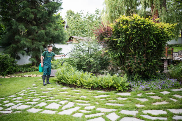 Best Pest Prevention Services  in Lincroft, NJ