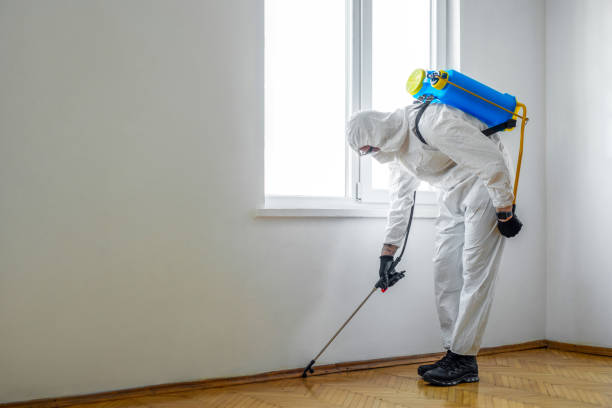 Best Pest Inspection Near Me  in Lincroft, NJ
