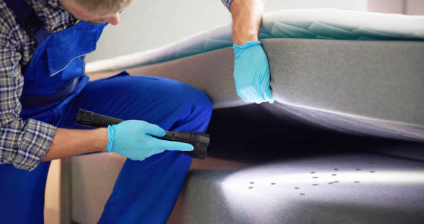 Pest Prevention Services in Lincroft, NJ