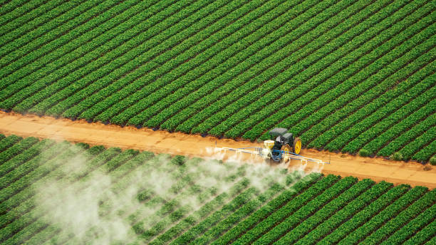 Best Commercial Pest Control Services  in Lincroft, NJ