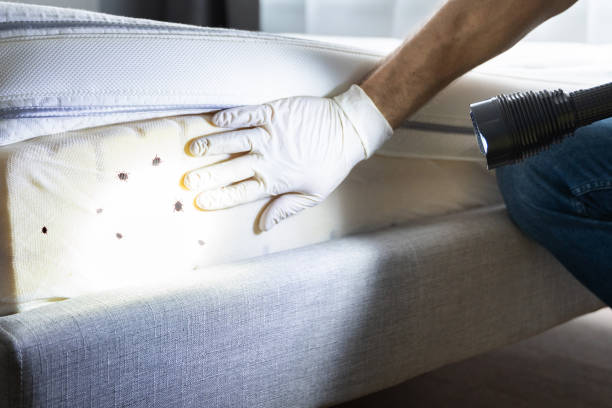 Best Best Pest Control Companies  in Lincroft, NJ