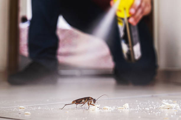 Best Wasp Removal Services  in Lincroft, NJ