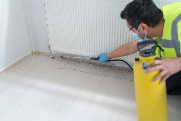 Best Pest Control Near Me  in Lincroft, NJ