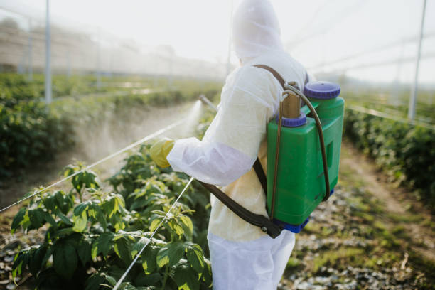 Best Cockroach Control Services  in Lincroft, NJ